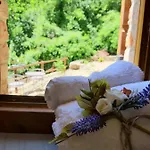 Casetta Nel Bosco - L'antico Metato Vakantiehuis Pierle
