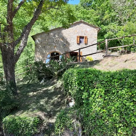 Casetta Nel Bosco - L'antico Metato