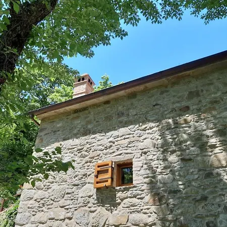 Casetta Nel Bosco - L'antico Metato Dom wakacyjny *