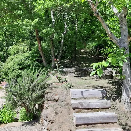 Casetta Nel Bosco - L'antico Metato Dom wakacyjny Pierle