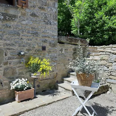 Casetta Nel Bosco - L'antico Metato Holiday home Pierle