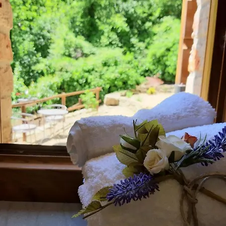 Casetta Nel Bosco - L'antico Metato Holiday home Pierle